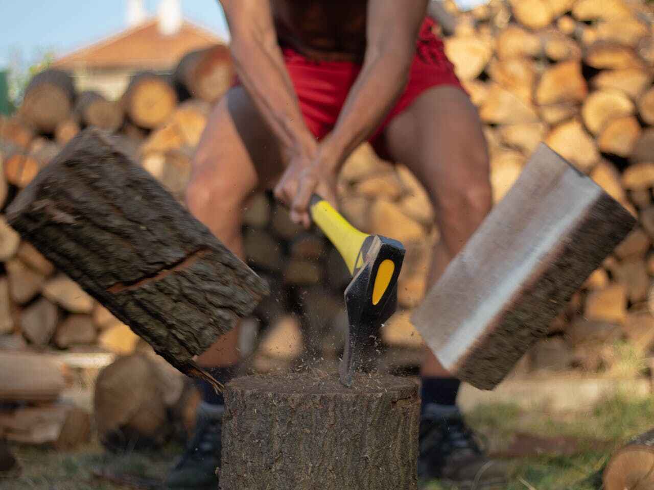 The Steps Involved in Our Tree Care Process in Blue Ridge, TX